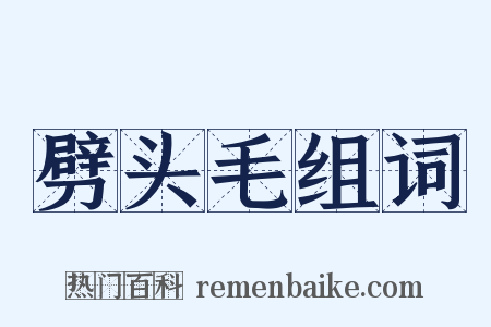 劈头毛组词是什么意思的图片